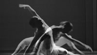 Performance 2011