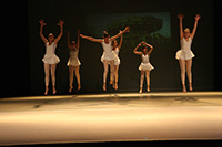 Performance 2015